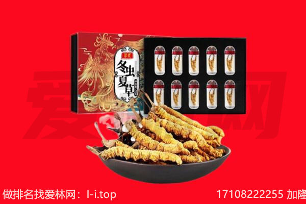 凉山州布拖回收虫草.jpg